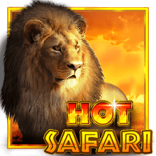 rtp slot hot safari